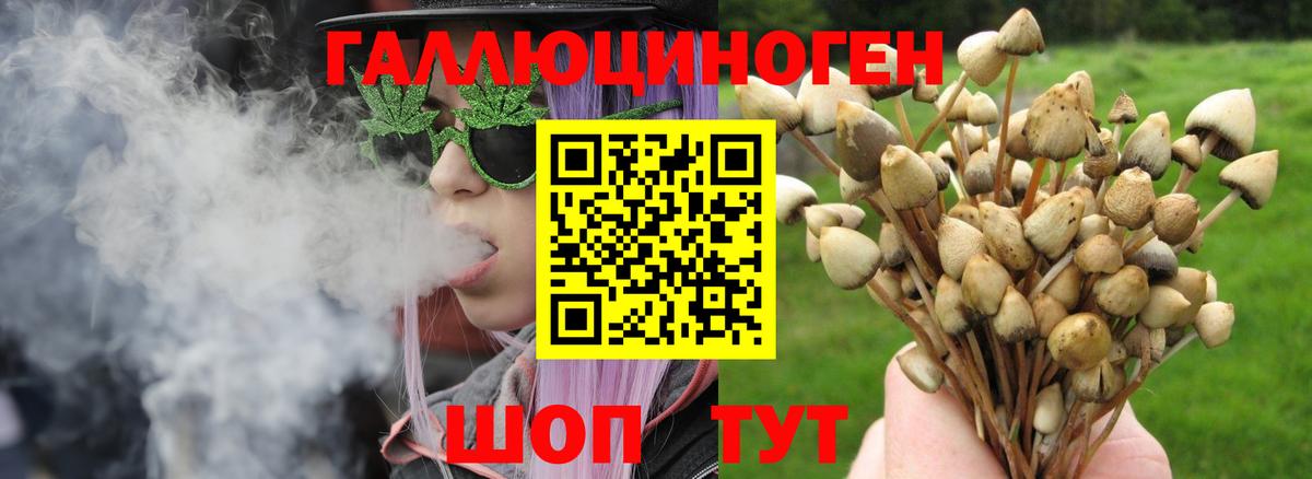 Галлюциногенные грибы мухоморы Салехард