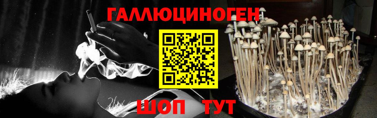 Галлюциногенные грибы Psilocybine cubensis  Вход с VPN  Псилоцибиновые грибы MAGIC MUSHROOMS  Салехард 